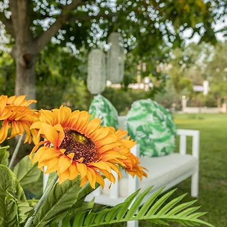 Апартаменты La Varik 1 Литохоро